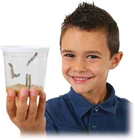 Insect Lore Butterfly Garden | Original 12" Habitat and Cup of Live Baby Caterpillars | Life Science & STEM Education Kit