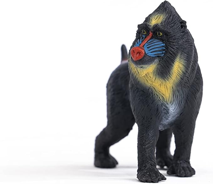 Schleich Wild Life Realistic Mandrill Monkey Figurine - Authentic and Highly Detailed Wild Animal Toy, Durable for Education and Fun Play for Kids, Perfect for Boys and Girls, Ages 3+