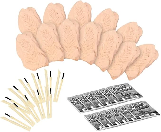 TRADE Big Bug Fossil Dig Kit - STEM Science & Educational Toys -Dig Up 12 Real Bugs Fly Ant Scorpion Lady Beetle Locust Cockroach Bumble Bee Cicada Dragonfly Cricket Praying Mantis Multicolored