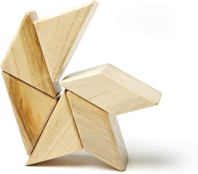 6 Piece Tegu Pocket Pouch Prism Magnetic Wooden Block Set, Natural