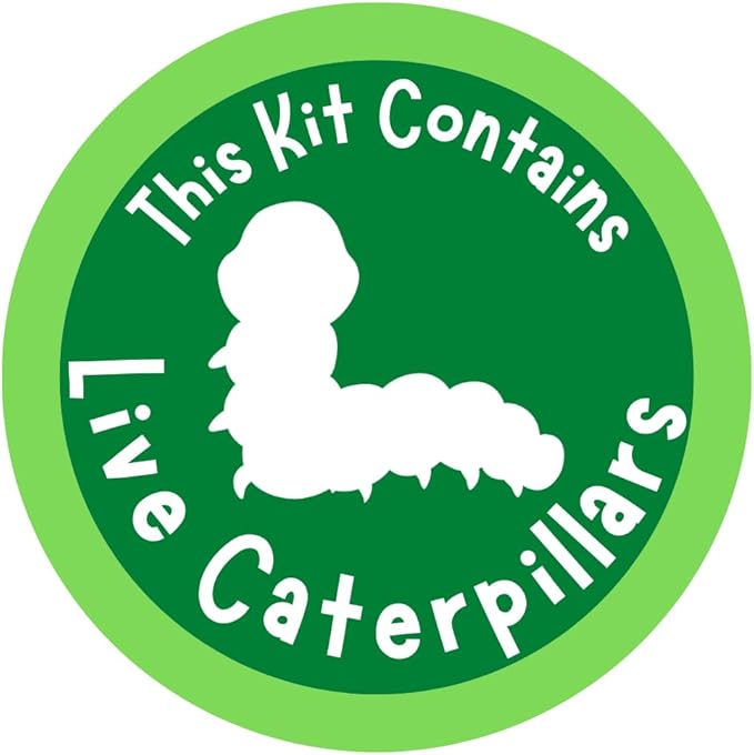 Insect Lore Cup of Caterpillars™ Basic | 5 Live Baby Painted Lady Caterpillars | Refill for Habitat Kit | Caterpillars and Food Included