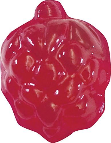 Thames & Kosmos Gummy Candy Lab - Bears, Fruit, Dolphins & Dinosaurs! Sweet Science STEM Experiment Kit, Make Your Own Gummy Candies in Cool Shapes & Colors | Learn Chemistry | New & Improved Formula