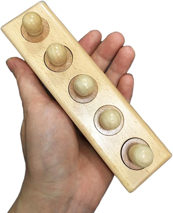 Thoth Montessori Knobbed Cylinder Socket Montessori Materials Wooden Cylinders Ladder Blocks Educational Wooden Toy Montessori Education Toy Family Version