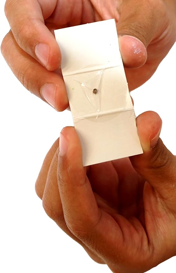 JA-RU Real Diamond Mine Gemstone Dig Kit (12 Packs) Mystery Rock, Minerals, and Gems for Kids | Break Your Own Geodes and a Chance to Get 1 Real Diamond | Party Favors for Kids Goodie Bags. 4630-12