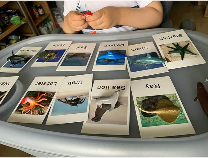 MEROCO Montessori Animal Match Game Cards Marine Animal Matching Montessori Language Materials Toddlers Preschool Educational Learning Toys NEWT011