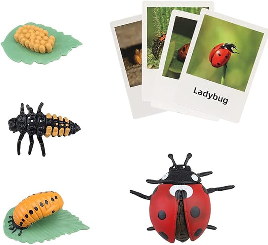 Montessori Animal Match Game Cards Marine Animal Matching Montessori Language Materials Toddlers Preschool Educational Learning Toys Language Materials Shape Sorting Toy