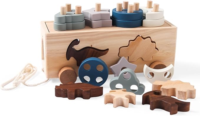Montessori Toys for 1 2 3 Years Boys Girls Birthday Gift, Wooden Stacking Toys Preschool Learning Fine Motor Skills Game for Toddlers - Wood Car & Dinosaurs, Silicone Shape Sorter & Color Stacker