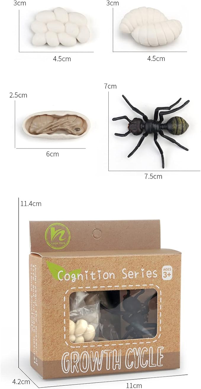 Montessori Animal Match Game Cards Marine Animal Matching Montessori Language Materials Toddlers Preschool Educational Learning Toys Language Materials Shape Sorting Toy