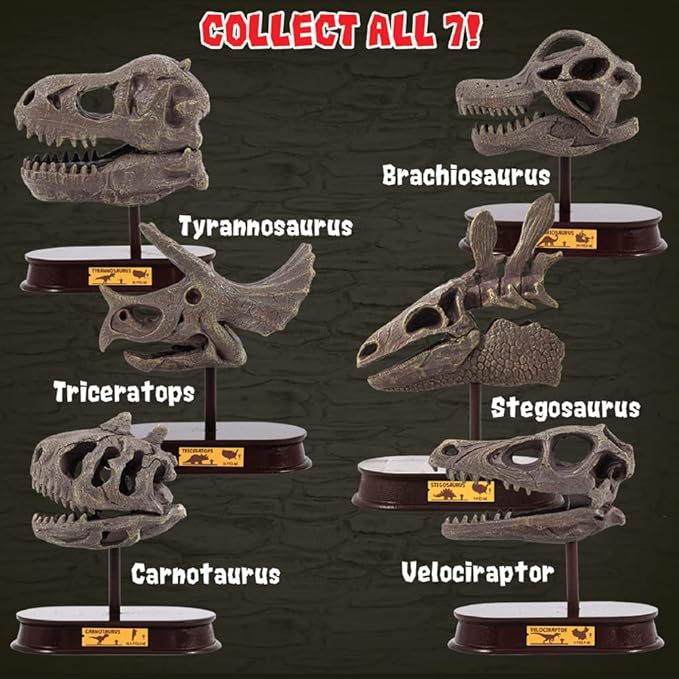ArtCreativity Dinosaur Excavation Kit for Kids, 5.5” Pachycephalosaurs Skull Excavating Set with Fossil Digging Tools and Stand, Fun Science Activity Toy, Educational Dinosaur Gift for Boys and Girls