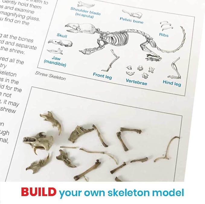 hand2mind Animal Science Kit for Kids 8-12, Kids Science Kit with Fact-Filled Guide, Learn About Animal Biology and Dissect Owl Pellets, STEM Toys, 10 Science Experiments
