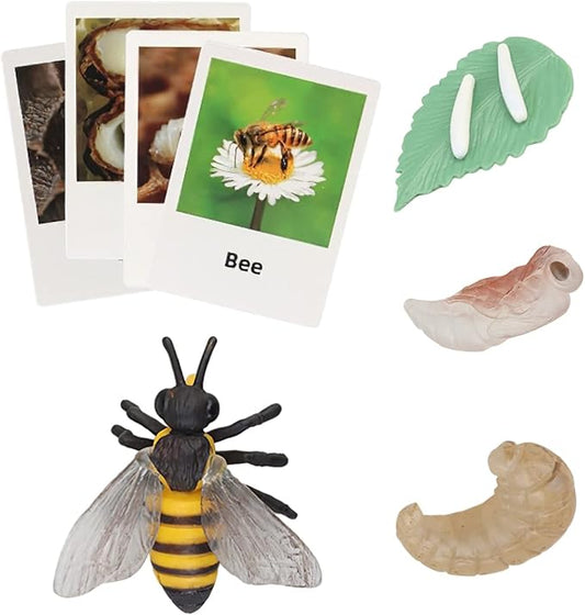 Montessori Animal Match Game Cards Marine Animal Matching Montessori Language Materials Toddlers Preschool Educational Learning Toys Language Materials Shape Sorting Toy