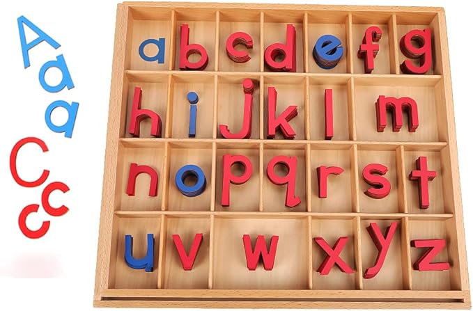 Montessori Letter Work Learning Materials Wooden Small moveable Alphabet Language Objects with Box (Red & Blue)