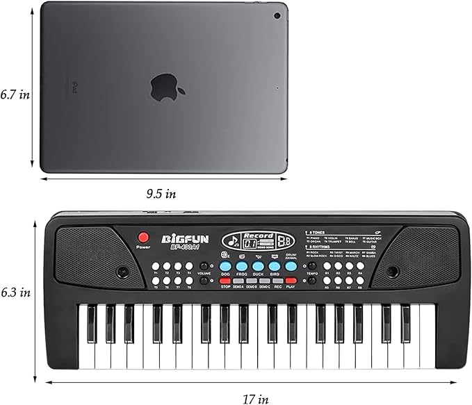 LeeQee Black 37 Keys Kids Piano Keyboard, Portable Electric Musical Instruments Piano with Microphone, Learning Educational Gifts Toys for Age 3 4 5 6 7 8 9 Years Old Boys Girls Toddlers