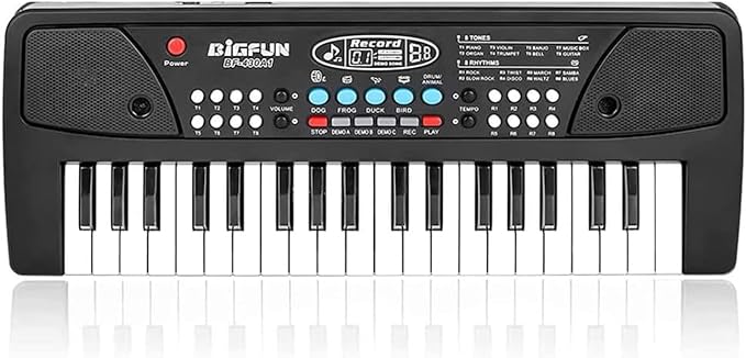 LeeQee Black 37 Keys Kids Piano Keyboard, Portable Electric Musical Instruments Piano with Microphone, Learning Educational Gifts Toys for Age 3 4 5 6 7 8 9 Years Old Boys Girls Toddlers