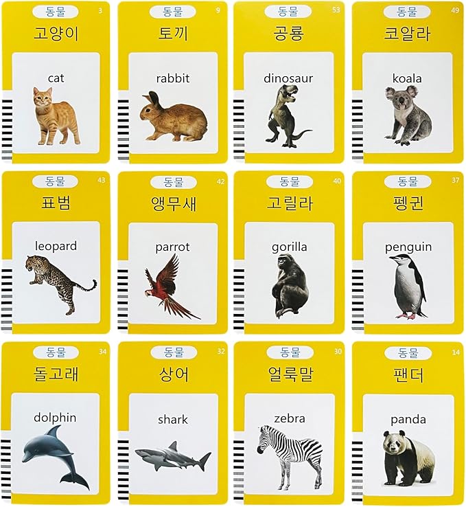 Korean-English Talking Flash Cards for Kids 112 PCS, Learn Korean Alphabet, Words and Pronunciation, Korean Language Learning Toys for Beginners