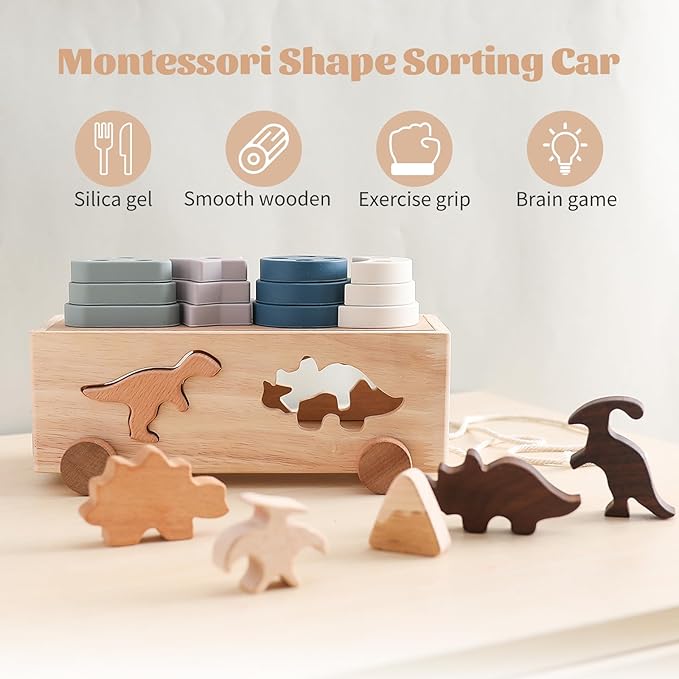 Montessori Toys for 1 2 3 Years Boys Girls Birthday Gift, Wooden Stacking Toys Preschool Learning Fine Motor Skills Game for Toddlers - Wood Car & Dinosaurs, Silicone Shape Sorter & Color Stacker