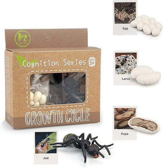 Montessori Animal Match Game Cards Marine Animal Matching Montessori Language Materials Toddlers Preschool Educational Learning Toys Language Materials Shape Sorting Toy