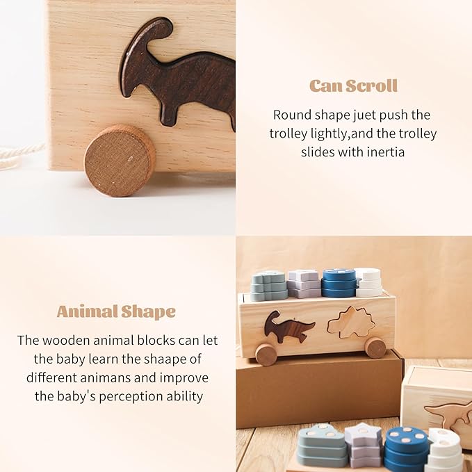 Montessori Toys for 1 2 3 Years Boys Girls Birthday Gift, Wooden Stacking Toys Preschool Learning Fine Motor Skills Game for Toddlers - Wood Car & Dinosaurs, Silicone Shape Sorter & Color Stacker