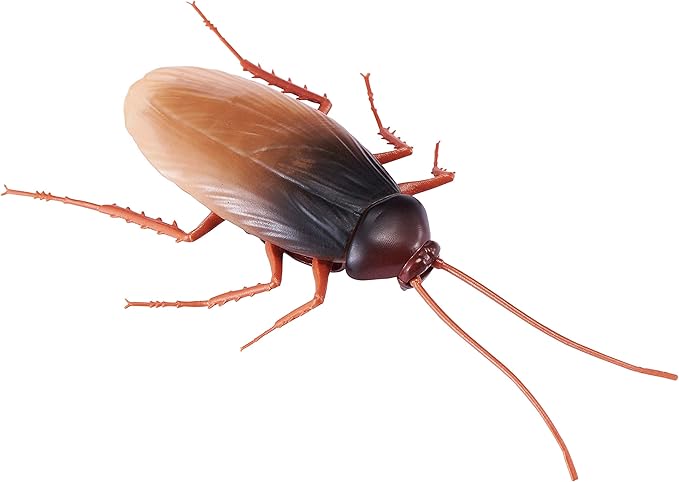 Robo Alive Scuttling Cockroach Battery-Powered Robotic Toy (2 Pack) (Custom Packaging) by ZURU