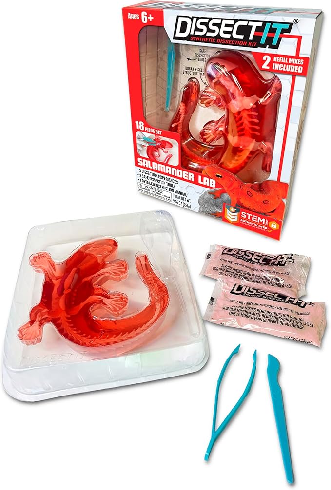 Dissect-It Kit for Kids 6 Plus, Simulated Synthetic Lab Dissection Toy | Salamander | Authenticated STEM Toys | Kids Learn Animal Science, Biology, and Anatomy