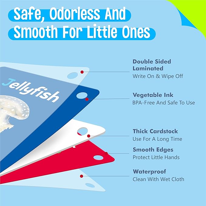 50 PCS Early Learning Flashcards, 7 in 1 Double Sided Cards- Alphabet, Numbers, Foods, Animals, Shapes, Colors with 2 Reclosable Rings, Learning Tool for Pre-K Kindergarten Toddlers