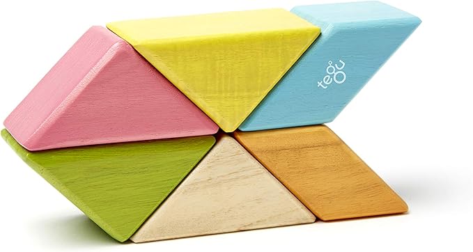 6 Piece Tegu Pocket Pouch Prism Magnetic Wooden Block Set, Tints