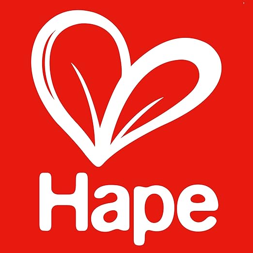 Hape Wooden Shape Sorter Toys | Montessori Educational Learning Toys for Preschoolers Ages 1 Years & Up