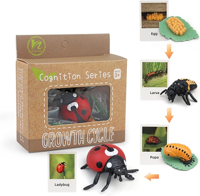 Montessori Animal Match Game Cards Marine Animal Matching Montessori Language Materials Toddlers Preschool Educational Learning Toys Language Materials Shape Sorting Toy