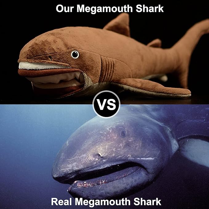 ZHONGXIN MADE Simulation Megamouth Shark Plush Toy - Realistic 20" Long Lifelike Whale Stuffed Toys, Super Soft Realistic Sea Simulation Shark Plush Gift Collection for Kids Children