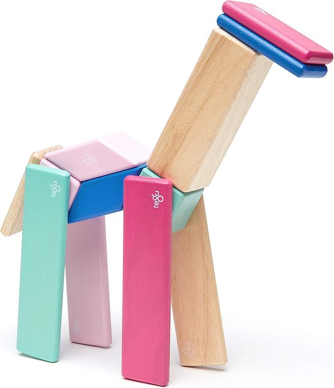 14 Piece Tegu Magnetic Wooden Block Set, Blossom
