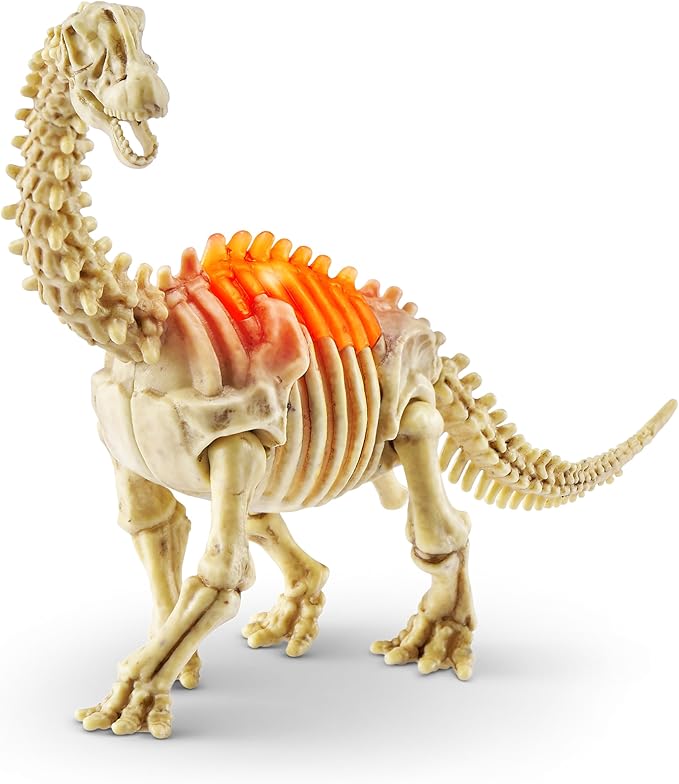 Robo Alive Mini Dino Fossil Find (2 Pack, T-Rex & Brontosaurus) by ZURU Boys 5+ Dig and Discover, STEM, Excavate Prehistoric Fossils, Educational Toys, Great Science Kit Gift for Girls and Boy