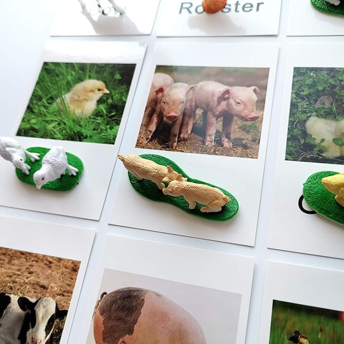 MEROCO Montessori Animal Match - Miniature Farm Animal Toy Figurines with Matching Cards Montessori Language Materials Preschool Learning Toy NEWT033