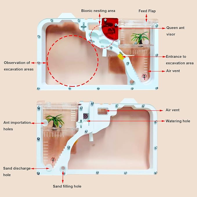 Sand Ant Farm Castle for Kids,Large Ant Habitat to Study Insect Behavior,Ant Colony Ecosystem Science Educational Gift for Classroom