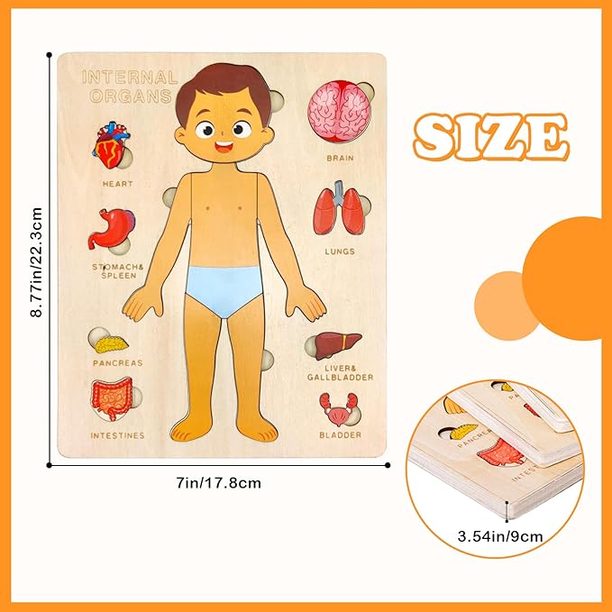 Wooden Body Puzzles for Kids, Toddler Montessori 14 Pieces Boy Anatomy Puzzle, Human Body Learning Toy with Internal Organs Early STEM Educational Toy for Boys and Girls Ages 3 4 5 6 Years Old