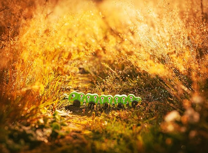 Wooden Rainbow Caterpillar – Magnetic Sorting Train Toy for Kids Ages 3+– Wooden Learning Toy for Colors, Shapes, and Fine Motor Skills