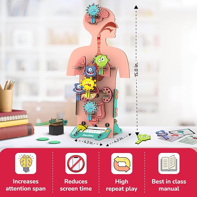 Smartivity Human Body Model for Kids 6-12 Years | Learn Body Organs, Functions with Fun Card Games | Cool Birthday Gift for Boys & Girls | DIY STEM Science Toys for Kids 6,7,8,9,10,11,12 Years I