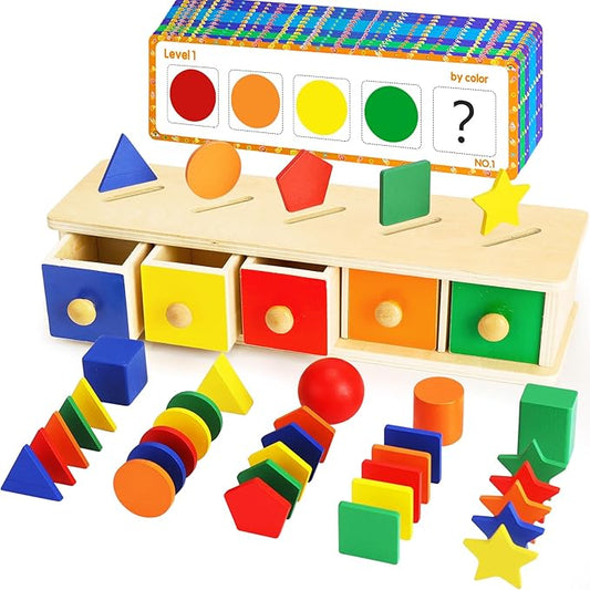 Montessori Toys Wooden Color & Shape Sorter Toys for Toddlers 1-3, Matching Box Sorting Blocks Manipulatives Preschool Learning Educational Toys for 1 2 3 4 Year Old Boy Girl Kid Gifts