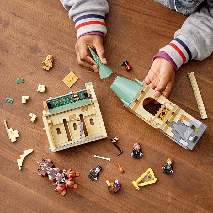 LEGO 76387 Harry Potter TM Hogwarts: Meeting Fluffy