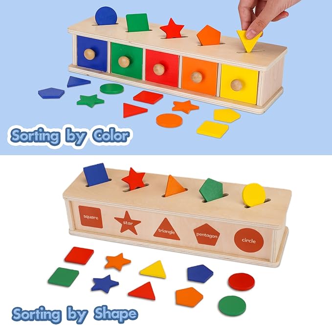 Montessori Toys Wooden Color & Shape Sorter Toys for Toddlers 1-3, Matching Box Sorting Blocks Manipulatives Preschool Learning Educational Toys for 1 2 3 4 Year Old Boy Girl Kid Gifts