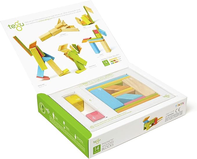Tegu 14 Piece Magnetic Wooden Block Set in Tints