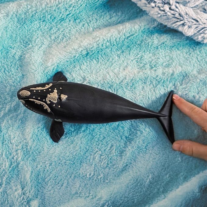 Schleich Wild Life - Large 7.5" Right Whale Toy Figurine. Realistic Hand-Painted Hard Animal Toys for Boys and Girls. Durable, Educational Figure for Imaginative Play. Kids and Toddlers Ages 3+ 14878