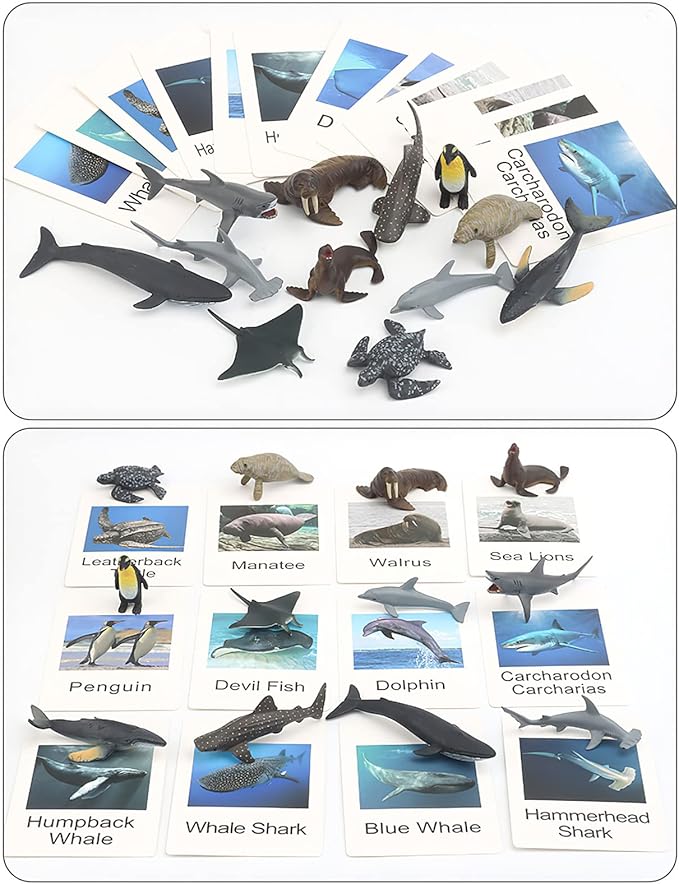 Small Montessori Animal Figures with Flash Cards, Realistic Animal Figurines Toys, Montessori Materials Homeschool Preschool Science Educational Matching Game for Toddler Kids (Sea)