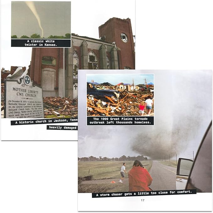 Know-It-All Educational Nature Books for Kids Toddlers -- Assorted Set of 9 Books About Wild Animals (Sharks, Spiders, Dinosaurs, Snakes, More)