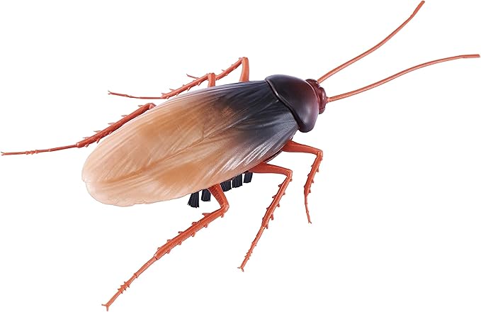 Robo Alive Scuttling Cockroach Battery-Powered Robotic Toy (2 Pack) (Custom Packaging) by ZURU