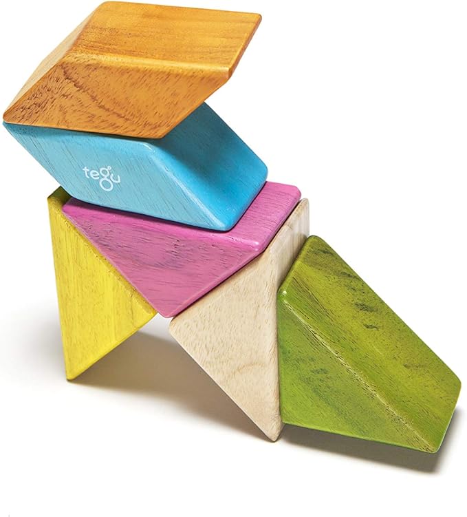 6 Piece Tegu Pocket Pouch Prism Magnetic Wooden Block Set, Tints