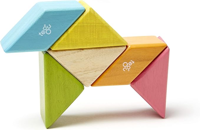 6 Piece Tegu Pocket Pouch Prism Magnetic Wooden Block Set, Tints