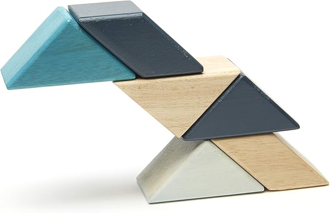 6 Piece Tegu Pocket Pouch Prism Magnetic Wooden Block Set, Blues
