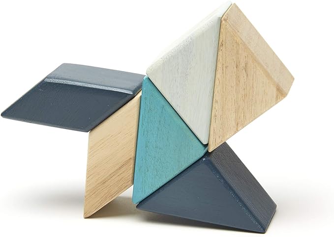 6 Piece Tegu Pocket Pouch Prism Magnetic Wooden Block Set, Blues