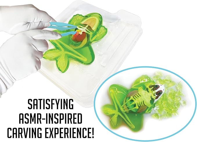 Dissect-It Kit for Kids, Synthetic Dissection Kids Science Kit to Learn Animal Science, Biology, STEM Toys for 6 Year Old and Above