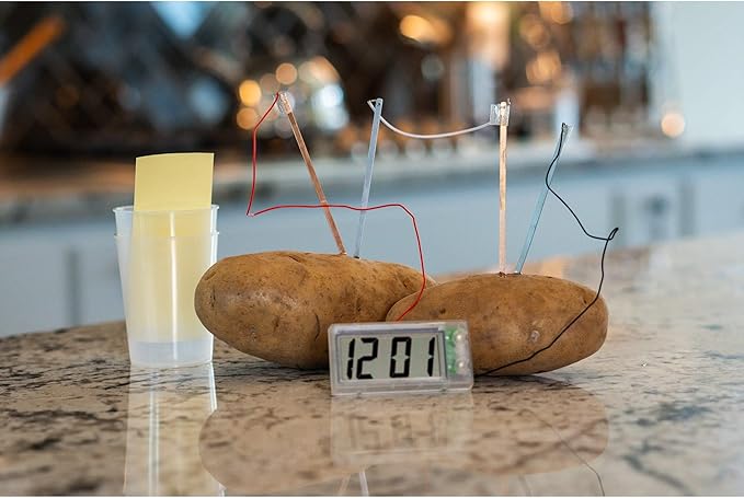 4M Potato Clock DIY Green Science Chemistry Engineering Lab - STEM Toys Educational Gift for Kids & Teens, Girls & Boys, Brown